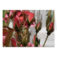 ROSES CARD