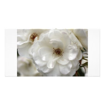 Roses Customized Photo Card