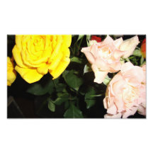 roses dans l'obscurité photo