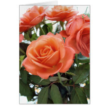 Roses Greeting Card