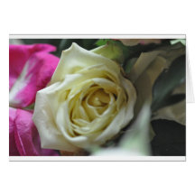 Roses Greeting Cards