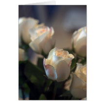 Roses II Greeting Cards