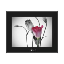 Roses "Love" Canvas Art Stretched Canvas Print