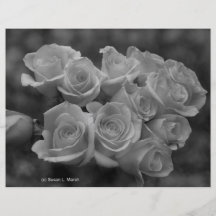Roses noirs et blancs sur le fond repéré prospectus personnalisés