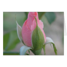 Roses of Life Greeting Card