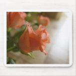 roses oranges tapis de souris