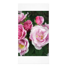 Roses Photo Card Template