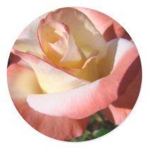 ROSES Pink White Rose Flowers 5 Cards Gifts Mugs