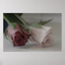 Roses Plaat