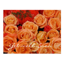 Roses Postcard postcards