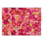 Roses pour toute occasion carte de vœux