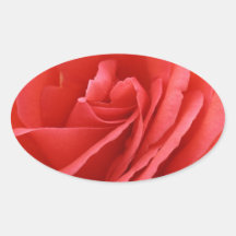 Roses Stickers