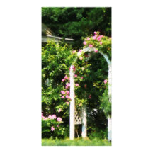 Roses sur le treillis cartes avec photo