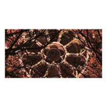 Rosetta Window Photo Card Template
