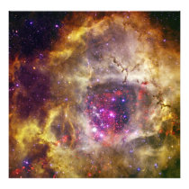 Rosette Nebula Caldwell 49 The Heart of a Rose Photo Art