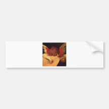 Rosso Fiorentino Musician Angel Bumper Stickers