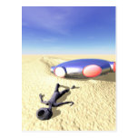 Roswell Like UFO Crash Postcard