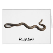 Rosy Boa Note Card