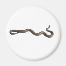 Rosy Boa Round Magnet