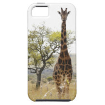 Rothschild Giraffe endangered species iPhone 5 cas iPhone 5 Cover