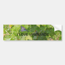 Rotta Dry Farmed Grapes on the Vine Bumper Sticker