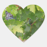 Rotta Dry Farmed Grapes on the Vine Heart Sticker