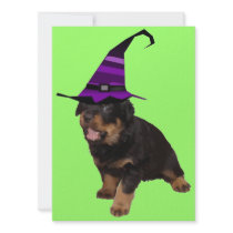 Rotten Witch