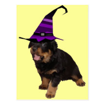 Rotten Witch Postcards