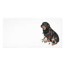 Rottie Christmas booboo Custom Photo Card