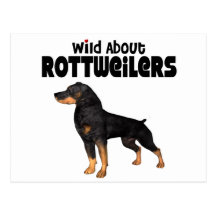 Rottweilder Post Cards
