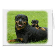 Rottweiler and Puppy Card