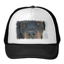 Rottweiler Baseball Cap Mesh Hat
