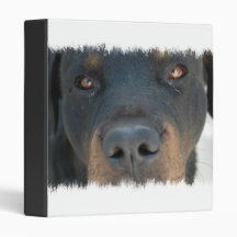 Rottweiler Binder
