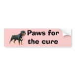 Rottweiler Breast Cancer Bumper Sticker bumper stickers