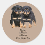 Rottweiler Buddies Address Label Round Stickers