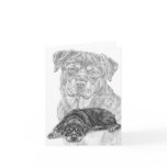 Rottweiler Dog Drawing by Kelli Swan Greeting Cards
