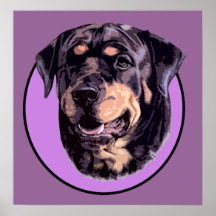 ROTTWEILER DOG PINK PRINT