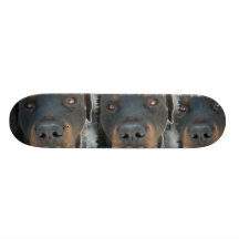 Rottweiler Dog Skateboard
