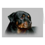Rottweiler Greeting Card
