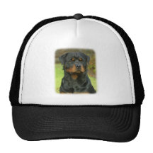 Rottweiler Hat