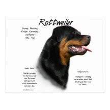 Rottweiler History Design Postcard