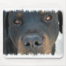 Rottweiler Mouse Pad