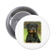 Rottweiler Pin