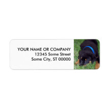 rottweiler pup. custom return address labels