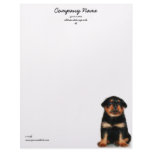 Rottweiler Puppy letterhead