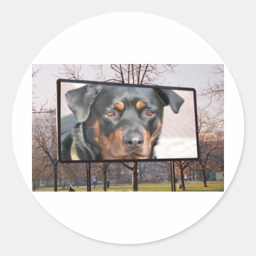 Rottweiler Rottie Billboard in Park Round Stickers