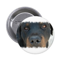 Rottweiler Round Button