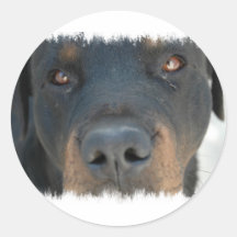 Rottweiler Sticker