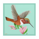Roufus Hummingbird t-shirts