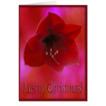 Rouge Amarilla de Joyeux Noël Cartes De Vœux